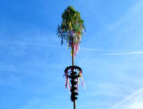 Unser Maibaum steht!