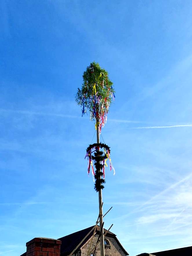 Maibaum